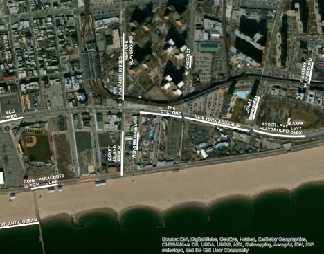 lion_NAPs_ConeyIsland