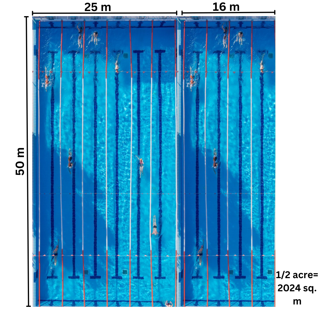 How Big is Half Acre Land? Spatiality Blog