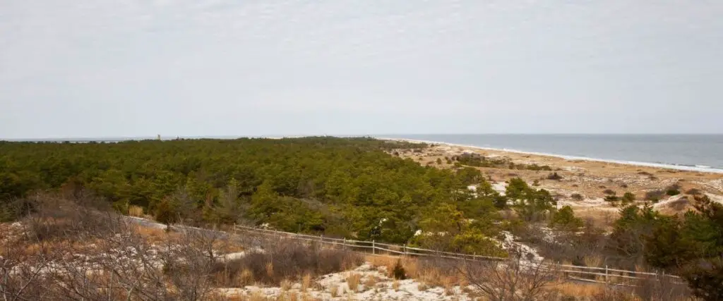 Cape Henlopen State Park